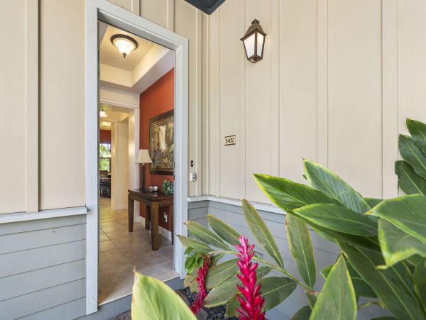 Kohala Coast Home 1000873