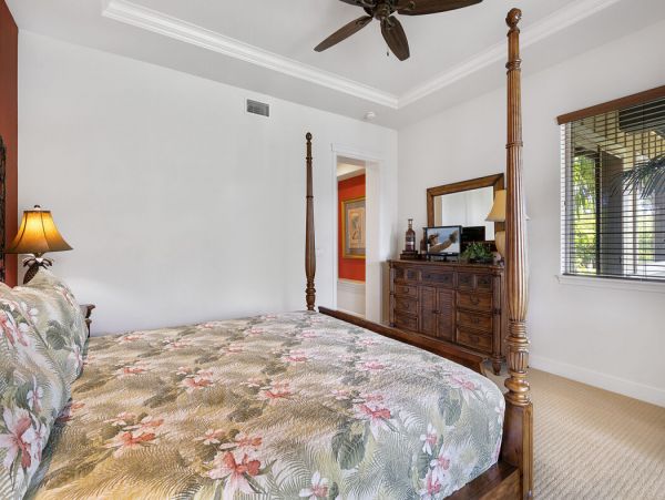 Kohala Coast Home 1000873