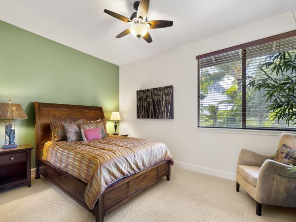 Kohala Coast Home 1000873