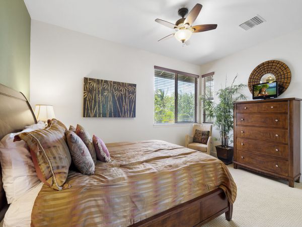 Kohala Coast Home 1000873