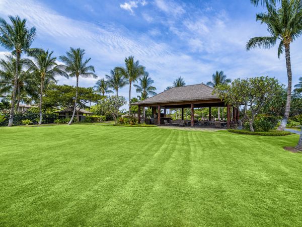Kohala Coast Home 1000873