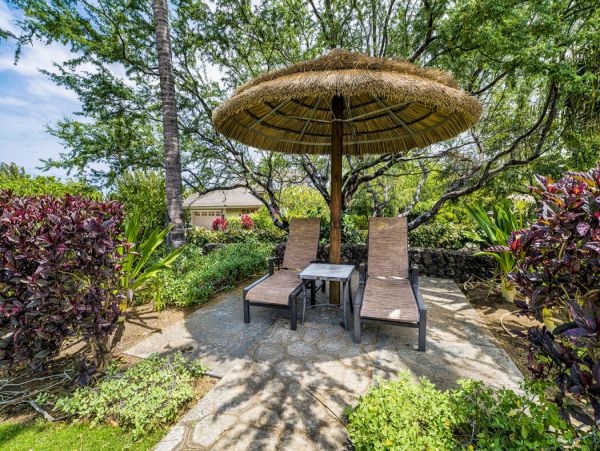 Kohala Coast Home 1000873