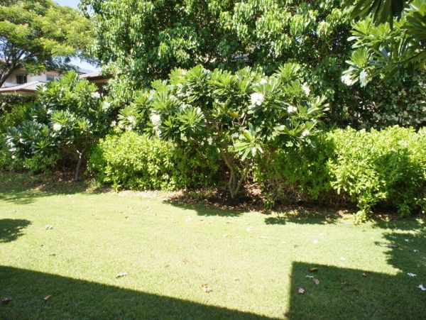 Kohala Coast Home 1000874