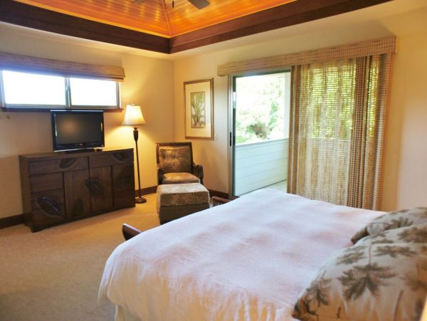 Kohala Coast Home 1000874
