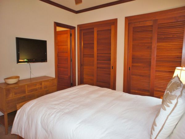 Kohala Coast Home 1000874