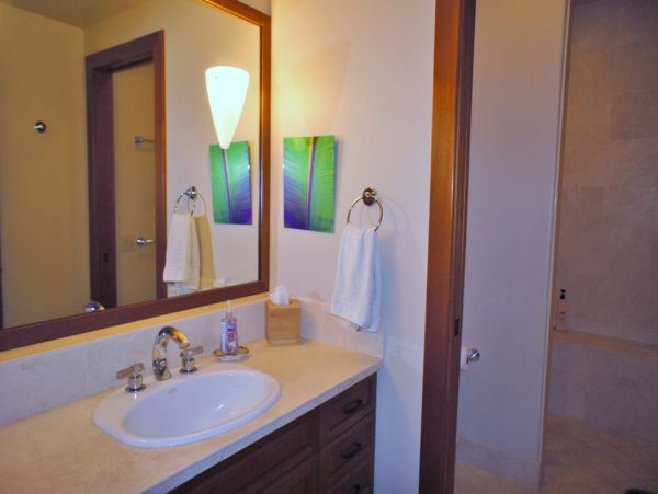 Kohala Coast Home 1000874