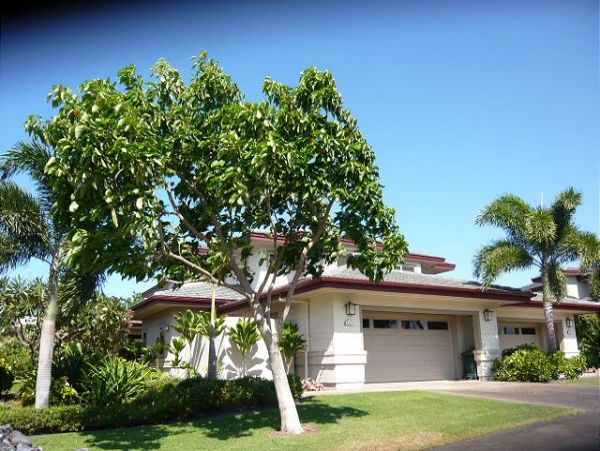 Kohala Coast Home 1000874
