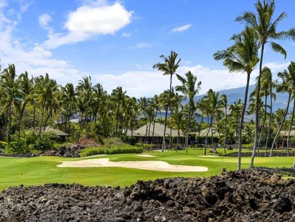 Kohala Coast Home 1000876