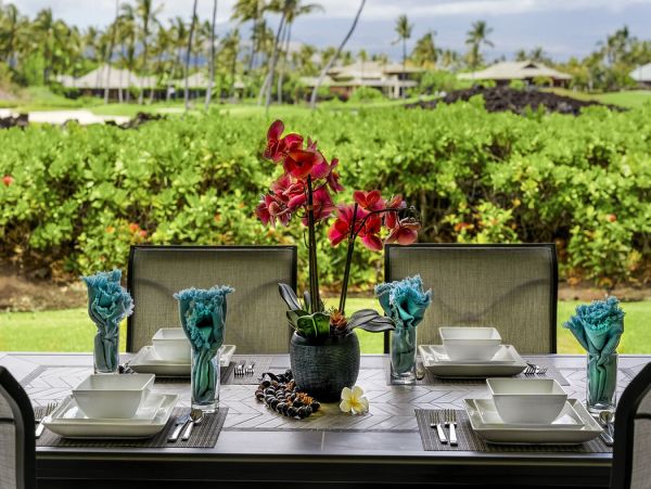 Kohala Coast Home 1000876