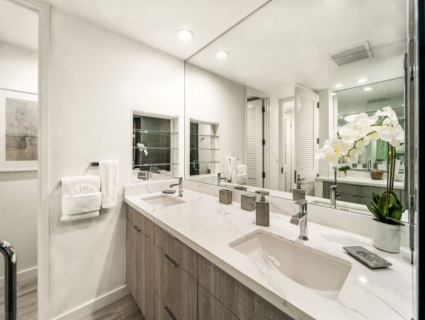 Kohala Coast Home 1000876