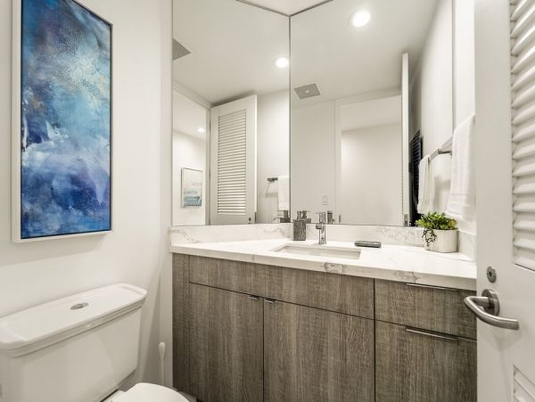 Kohala Coast Home 1000876