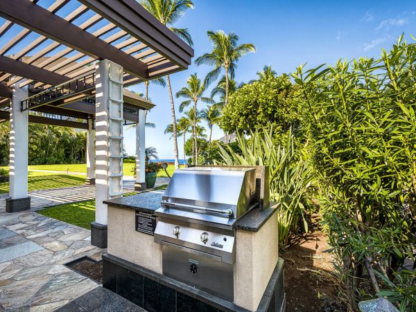 Kohala Coast Home 1000876