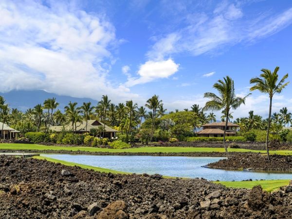 Kohala Coast Home 1000876