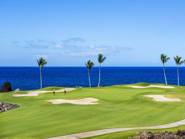 Kohala Coast Home 1000876