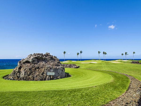 Kohala Coast Home 1000876