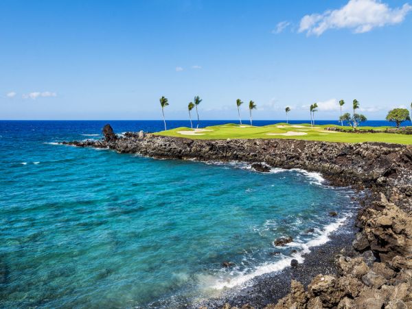 Kohala Coast Home 1000876