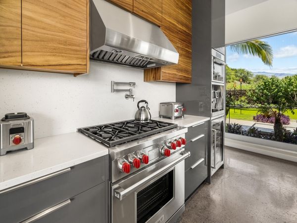 Kohala Coast Home 1000877