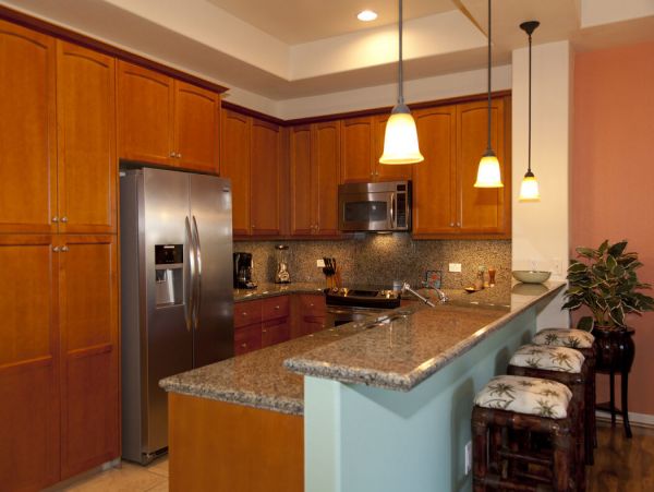 Kohala Coast Home 1000878