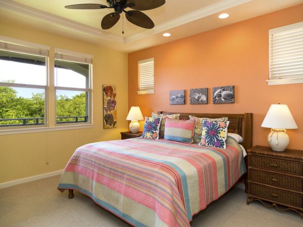 Kohala Coast Home 1000878