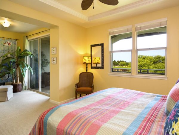 Kohala Coast Home 1000878