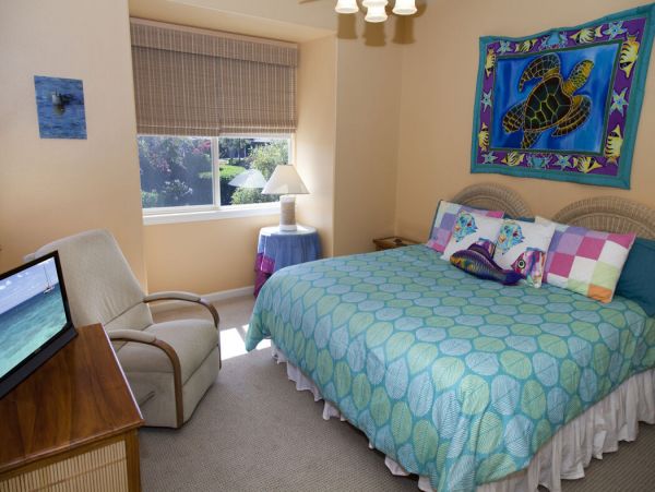 Kohala Coast Home 1000878