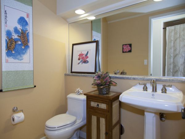 Kohala Coast Home 1000878