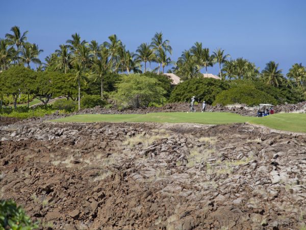 Kohala Coast Home 1000878