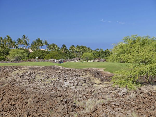 Kohala Coast Home 1000878