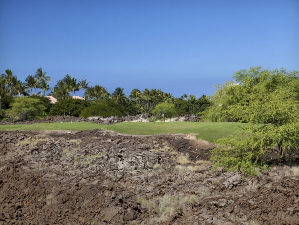 Kohala Coast Home 1000878