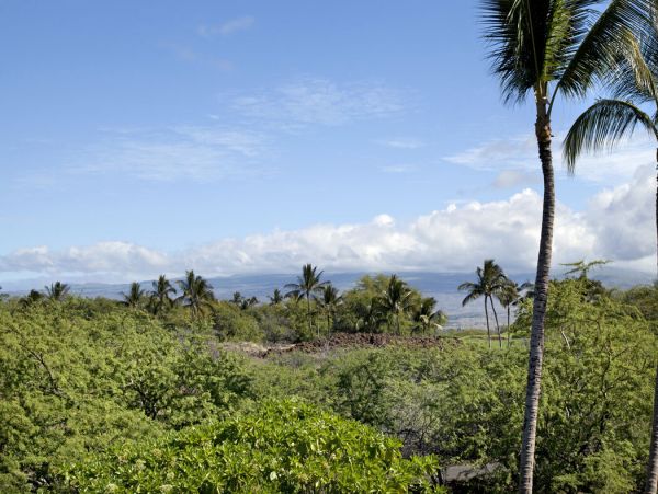Kohala Coast Home 1000878