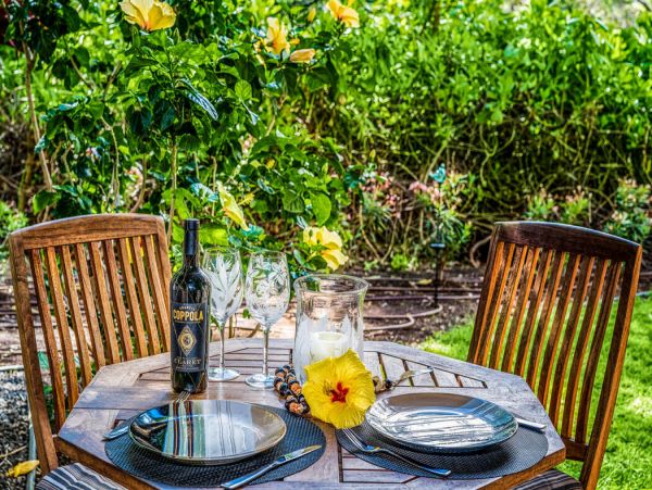 Kohala Coast Home 1000880