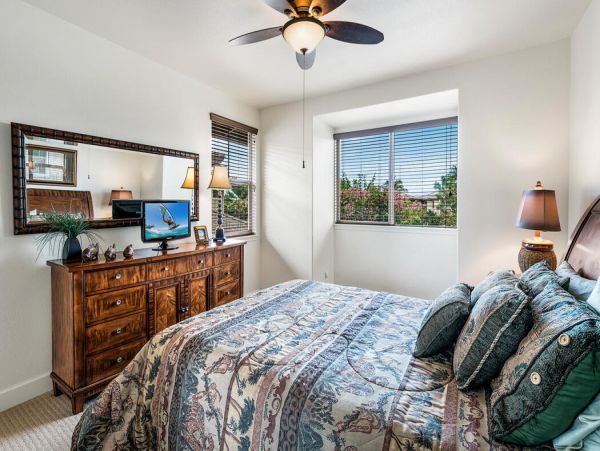 Kohala Coast Home 1000880