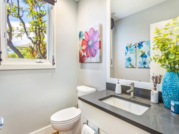 Kohala Coast Home 1000881