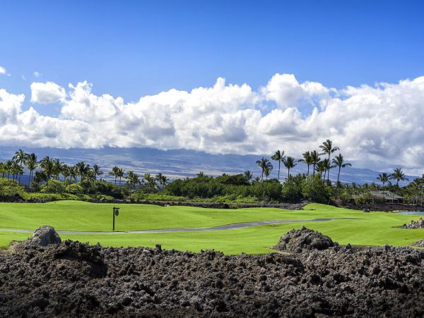 Kohala Coast Home 1000882