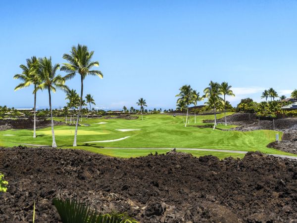Kohala Coast Home 1000882