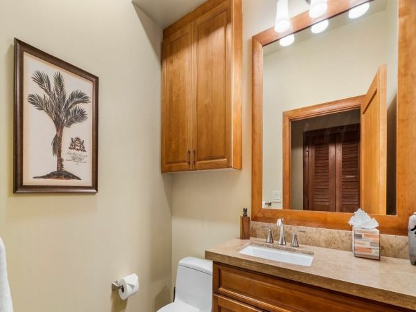 Kohala Coast Home 1000883