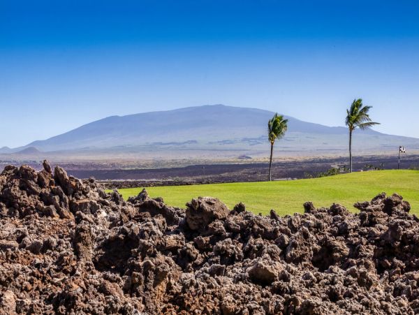 Kohala Coast Home 1000885