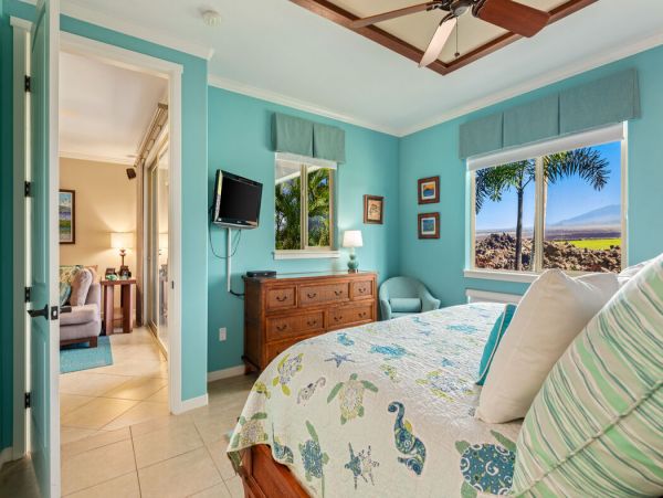 Kohala Coast Home 1000885