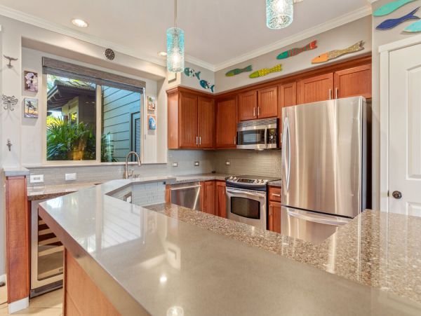 Kohala Coast Home 1000885