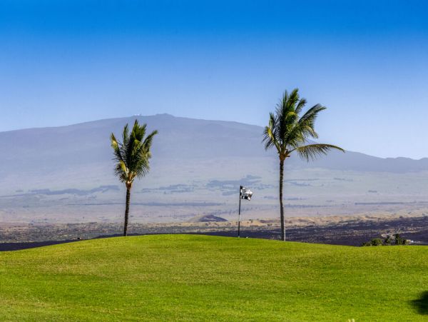 Kohala Coast Home 1000885