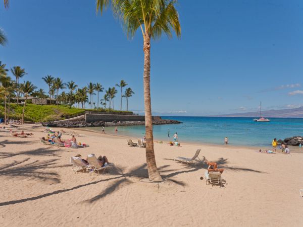Kohala Coast Home 1000885
