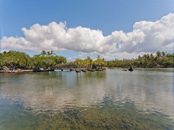 Kohala Coast Home 1000885