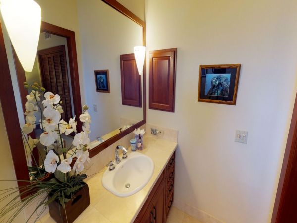 Kohala Coast Home 1000887