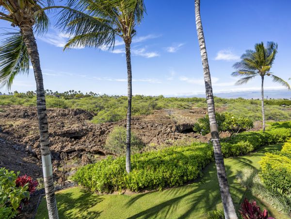 Kohala Coast Home 1000889