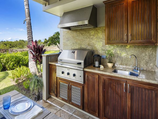 Kohala Coast Home 1000889
