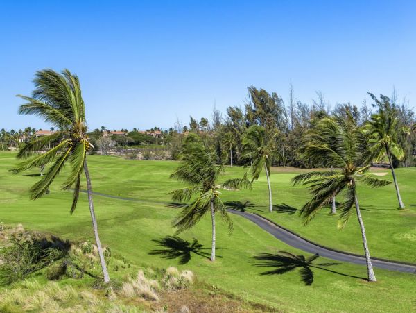 Kohala Coast Home 1000890