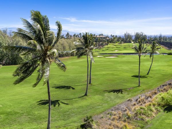 Kohala Coast Home 1000890