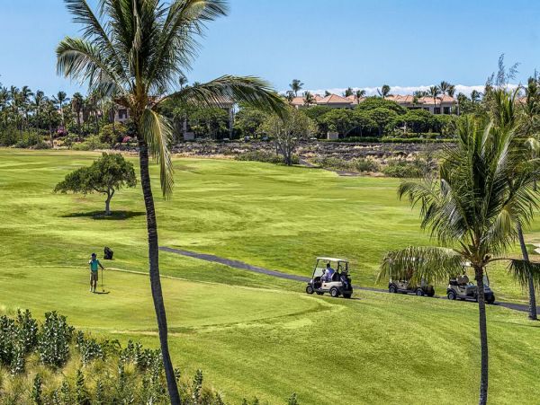 Kohala Coast Home 1000890