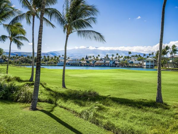 Kohala Coast Home 1000890