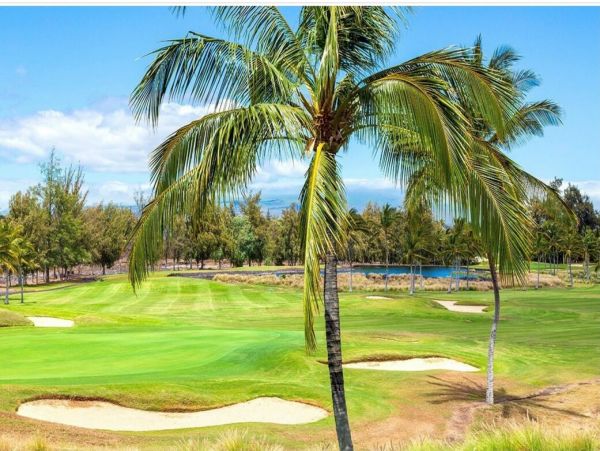 Kohala Coast Home 1000891
